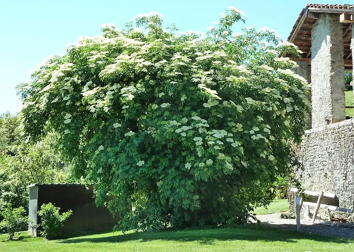 Bed and breakfast Il Sambuco Innamorato
